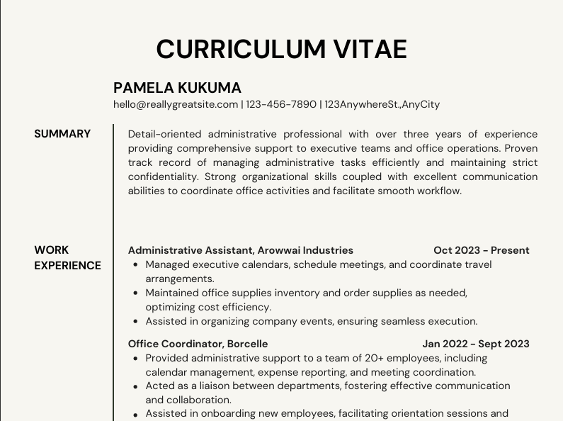 CV Sample 3 preview