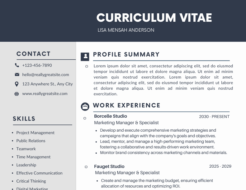 CV Sample 6 preview