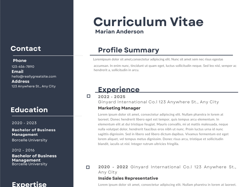 CV Sample 7 preview