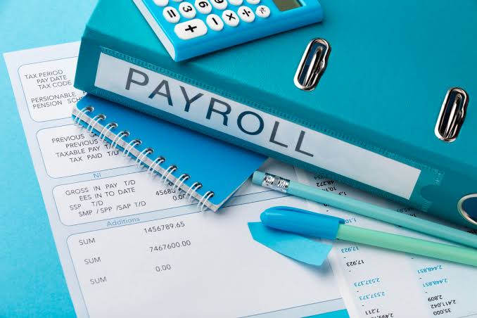 Payroll and organizational management